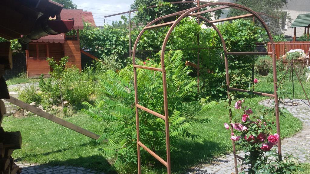 Casa Dancs Ξενοδοχείο Κοβάσνα Εξωτερικό φωτογραφία